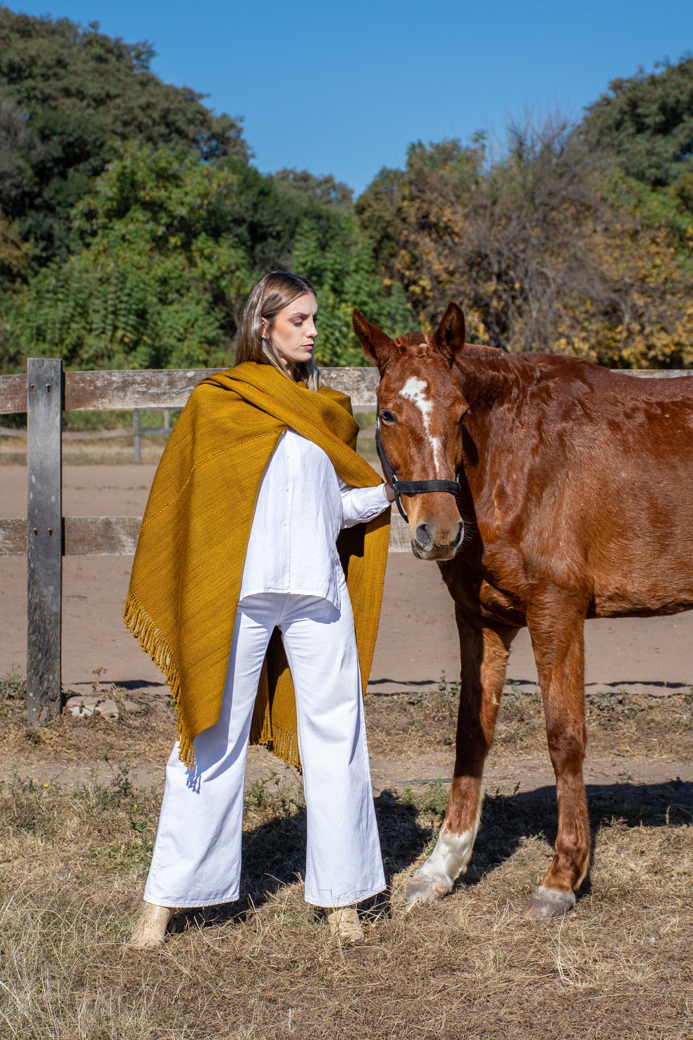 Poncho "Bernardita" Telar Criollo