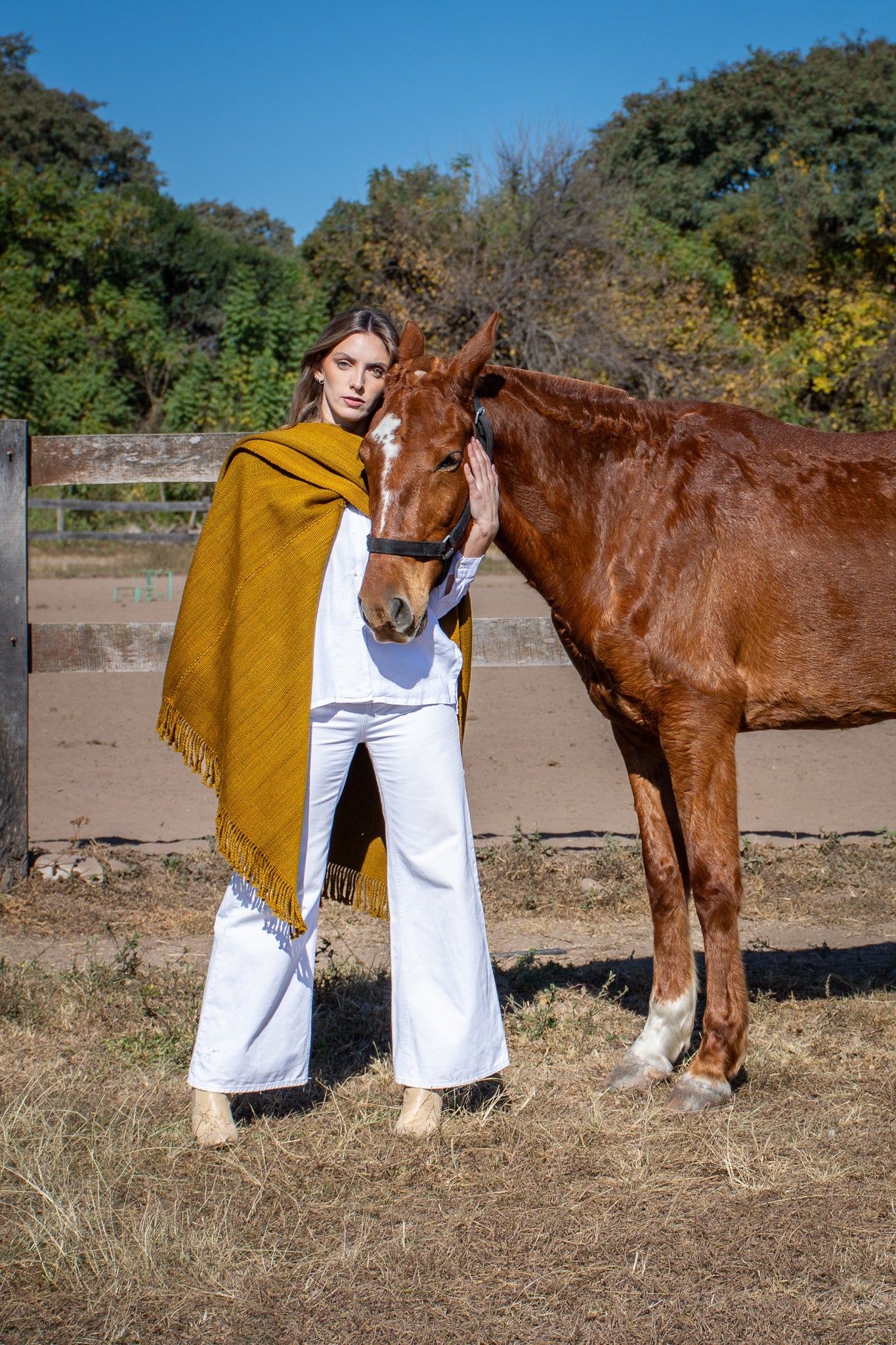 Poncho "Bernardita" Telar Criollo