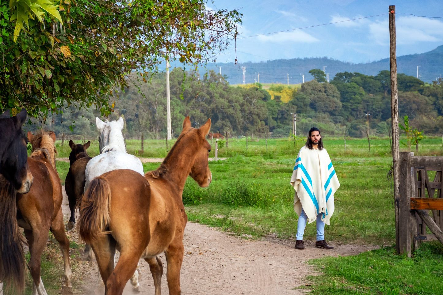 Poncho "San Martin" Obra en Telar Criollo