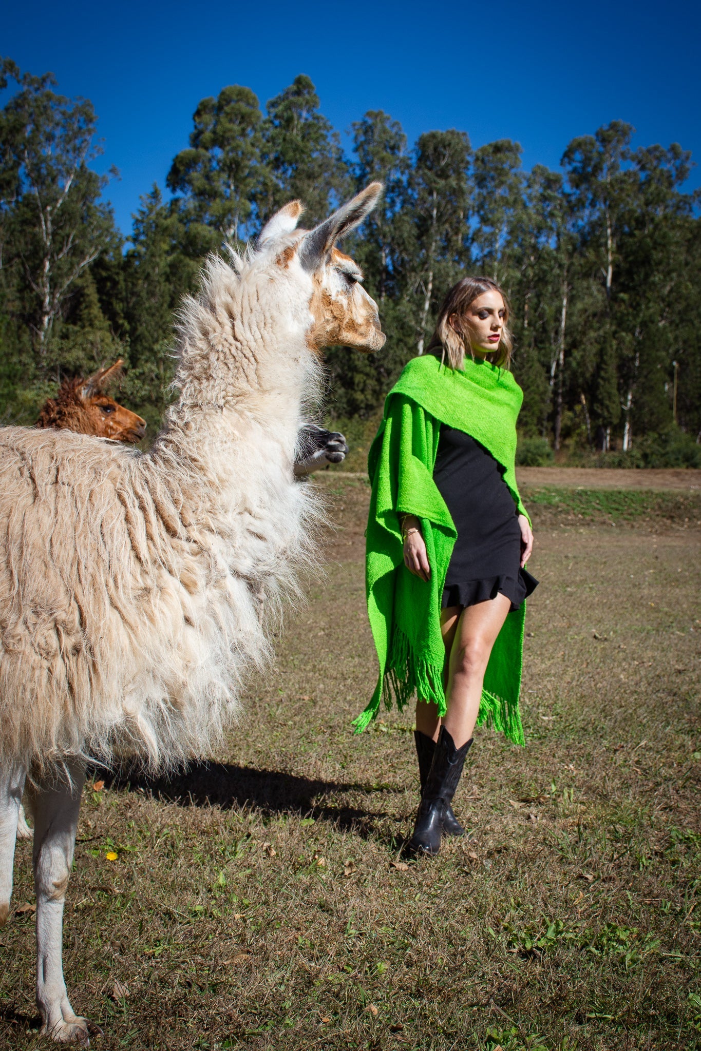 Ruana "Amancay" Hilos Llama Baby en Telar